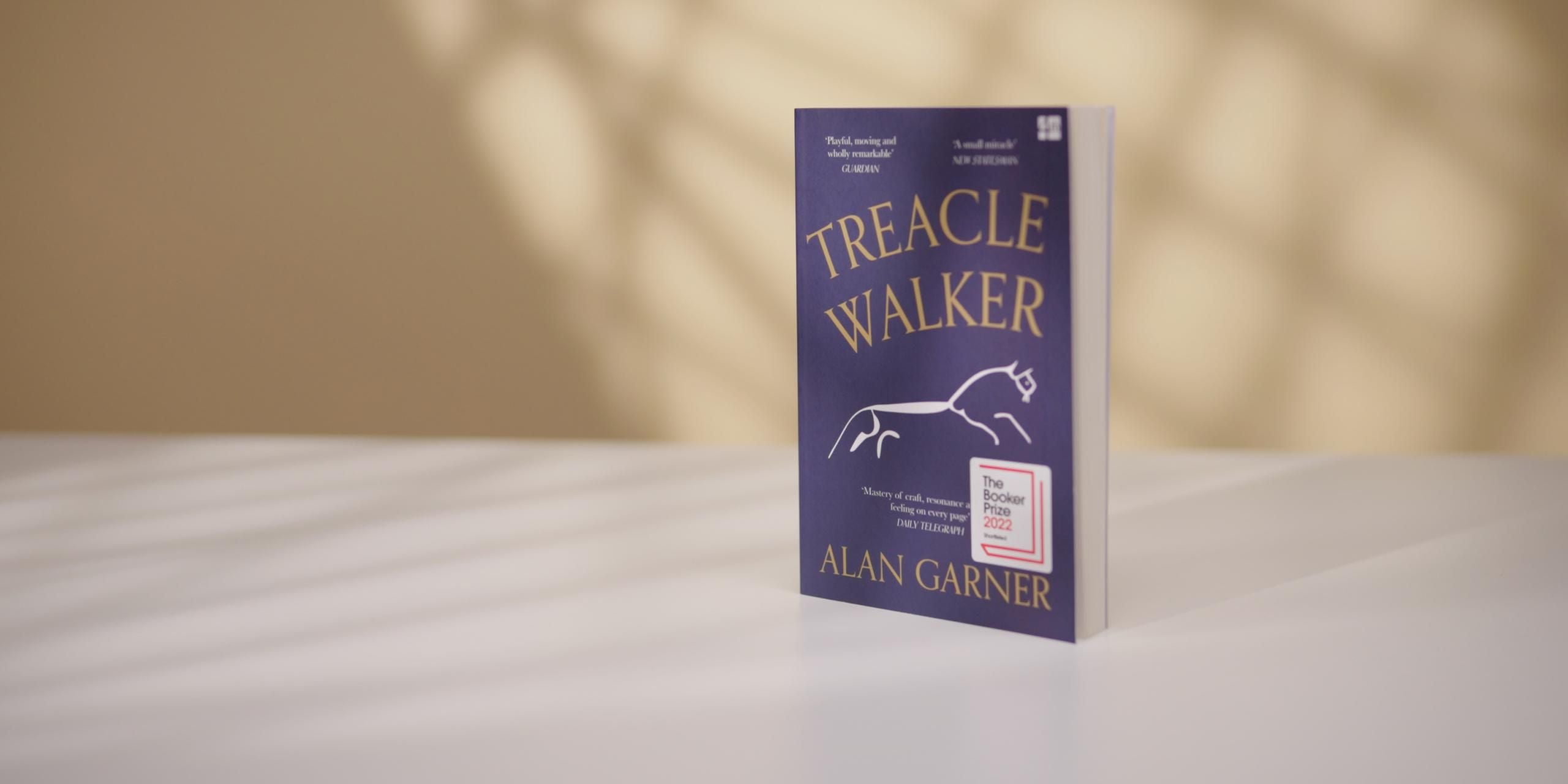 Treacle Walker by Alan Garner
