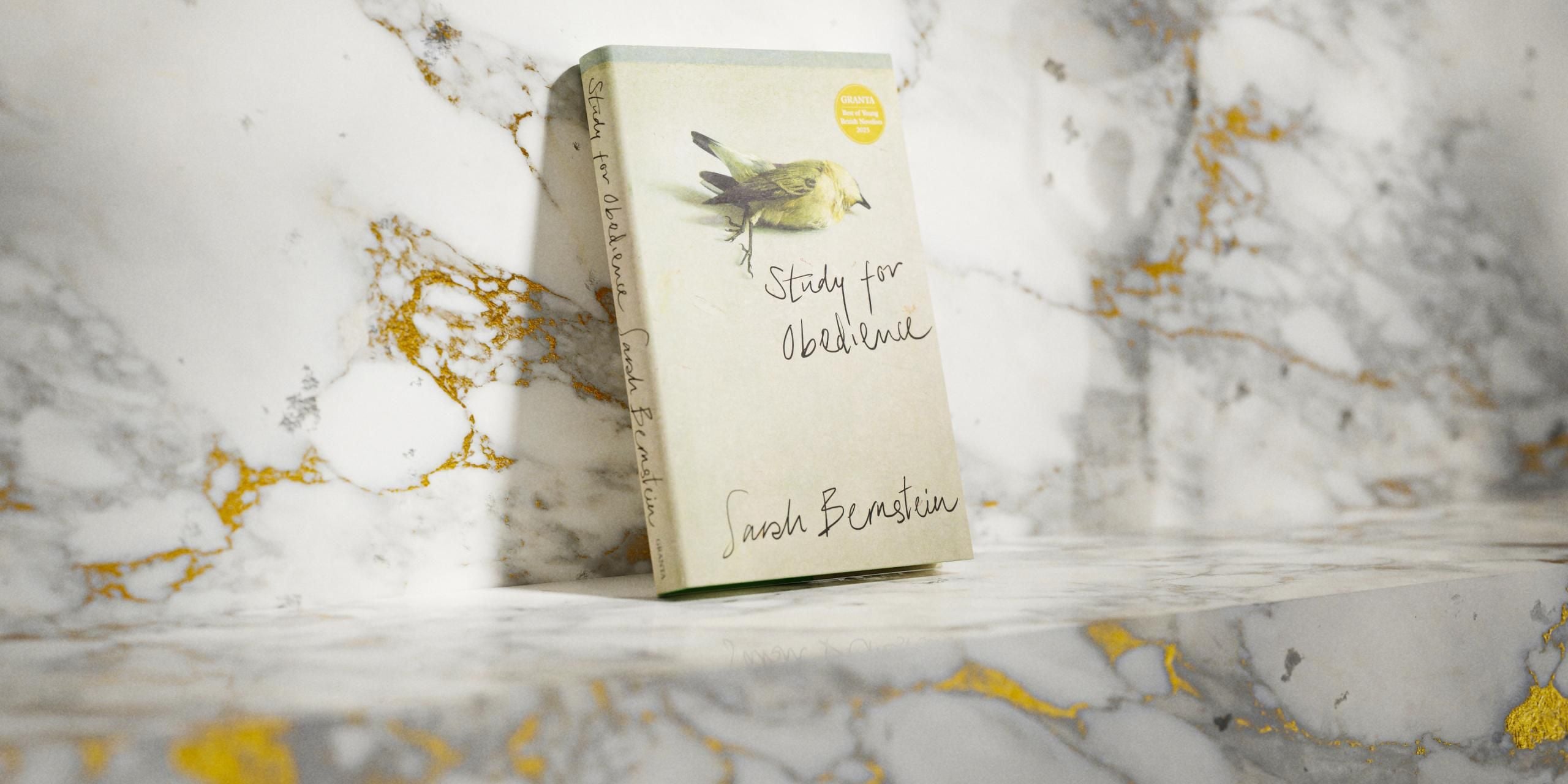 Study for Obedience by Sarah Bernstein