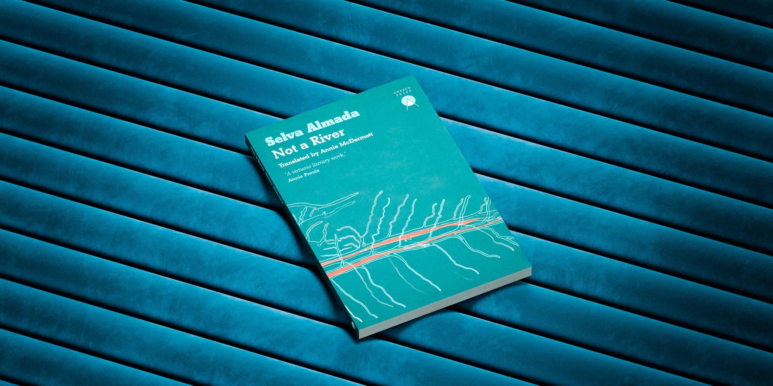 Book cover of Not a river.