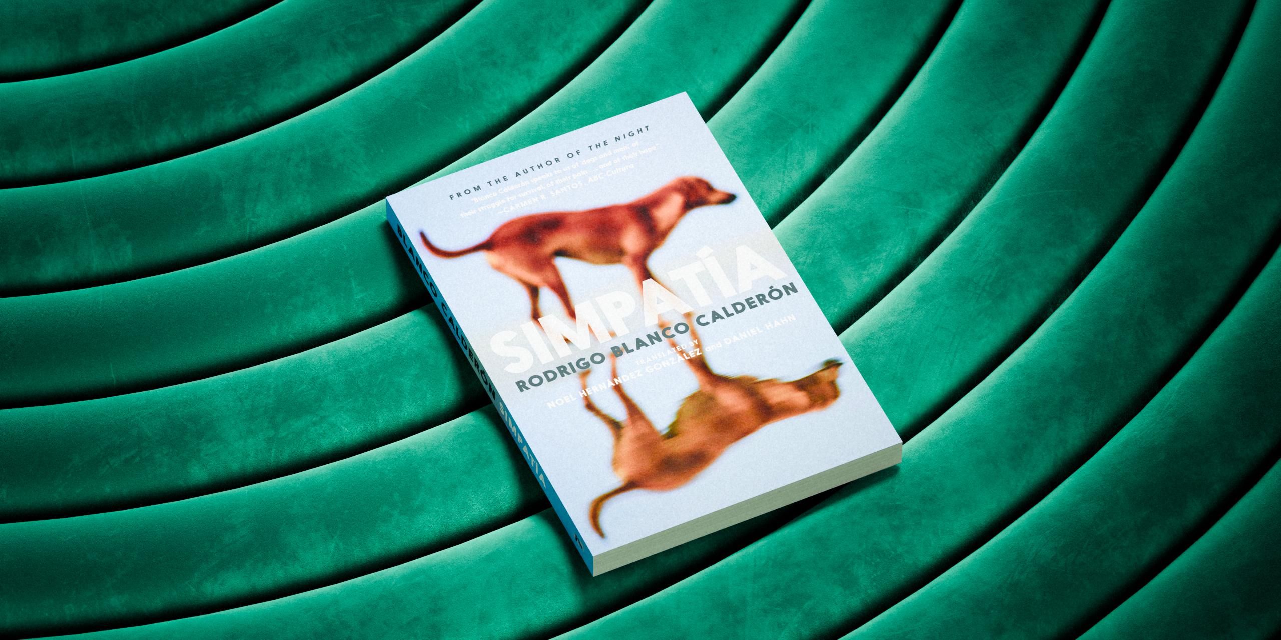 Book cover of Simpatia