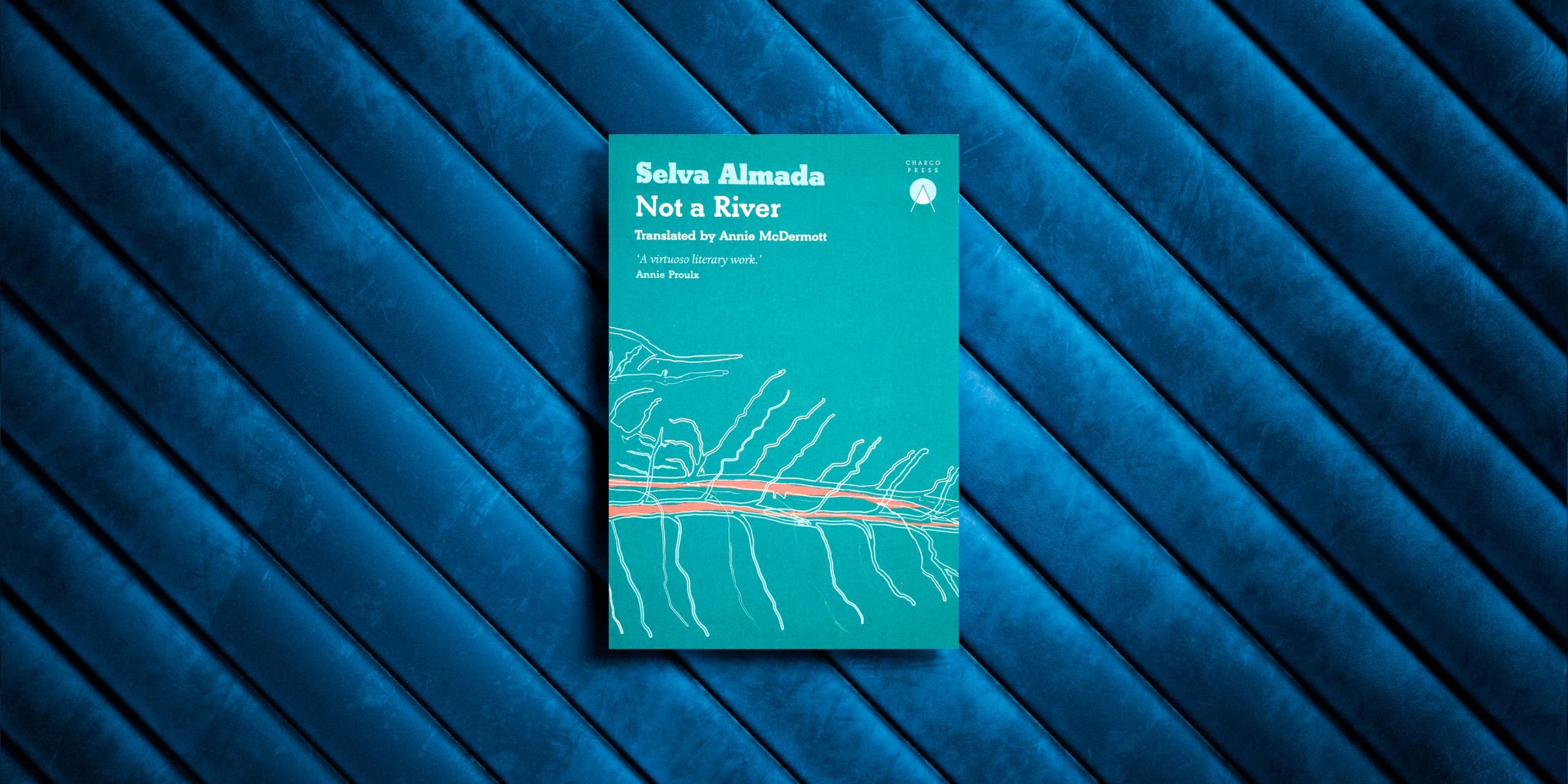 Front cover of Not a River