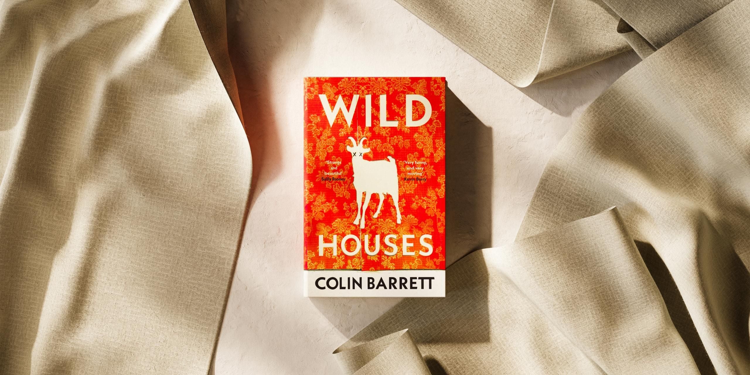 Wild Houses by Colin Barrett