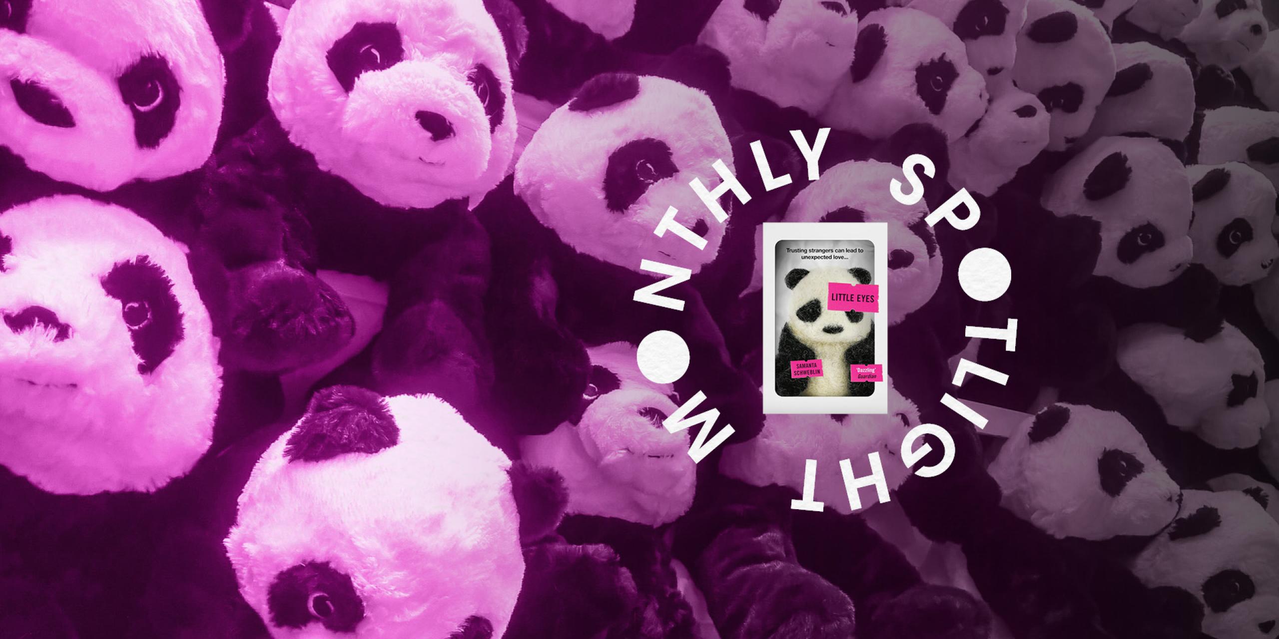 An image of toy pandas with the cover of Little Eyes on the right with the text Monthly Spotlight circling it
