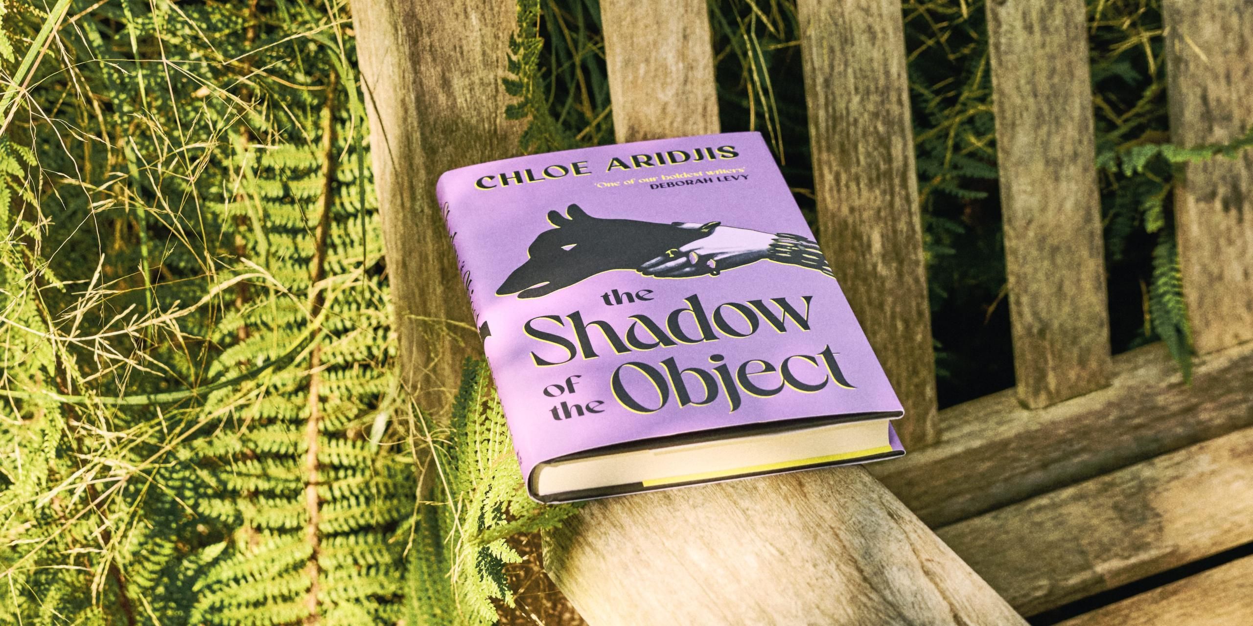 The Shadow of the Object by Chloe Aridjis