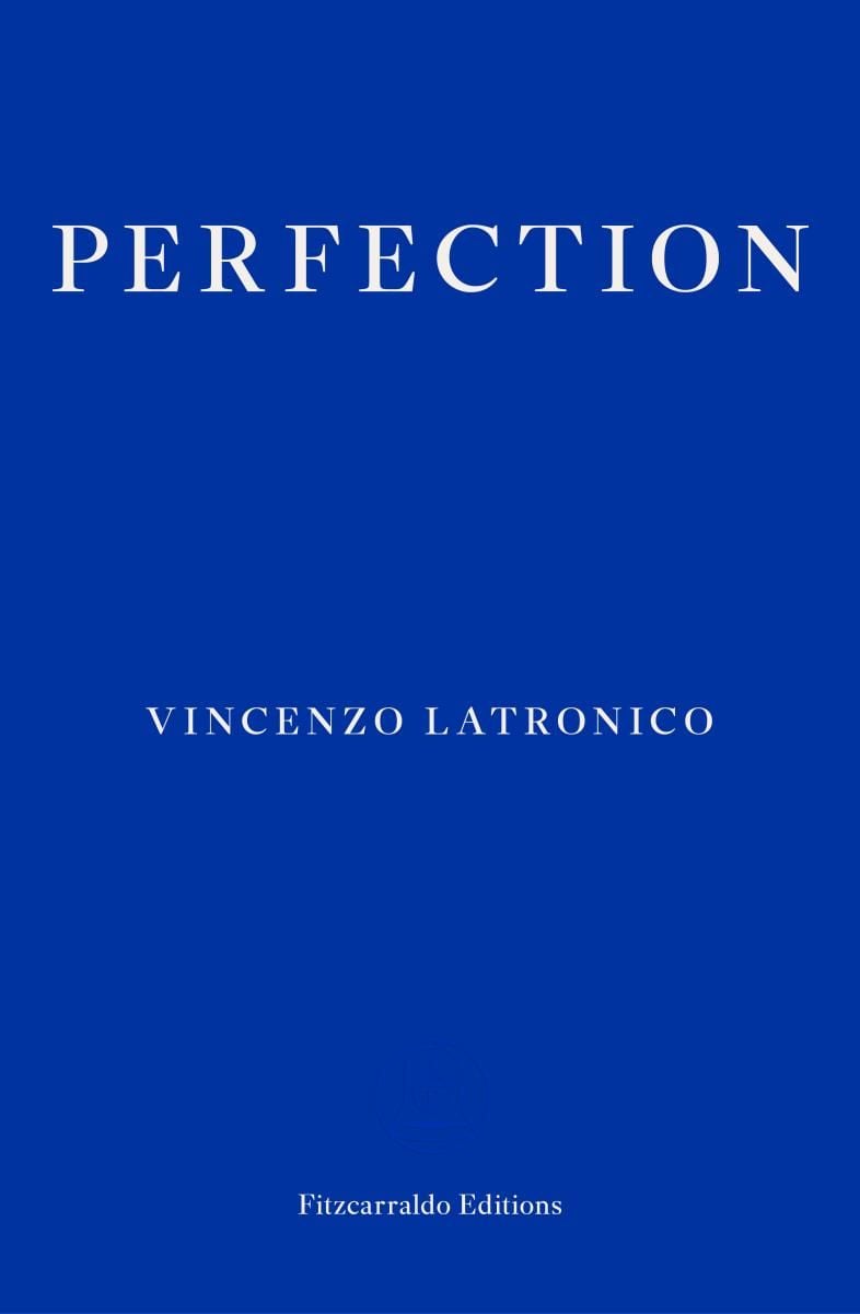 Perfection book cover