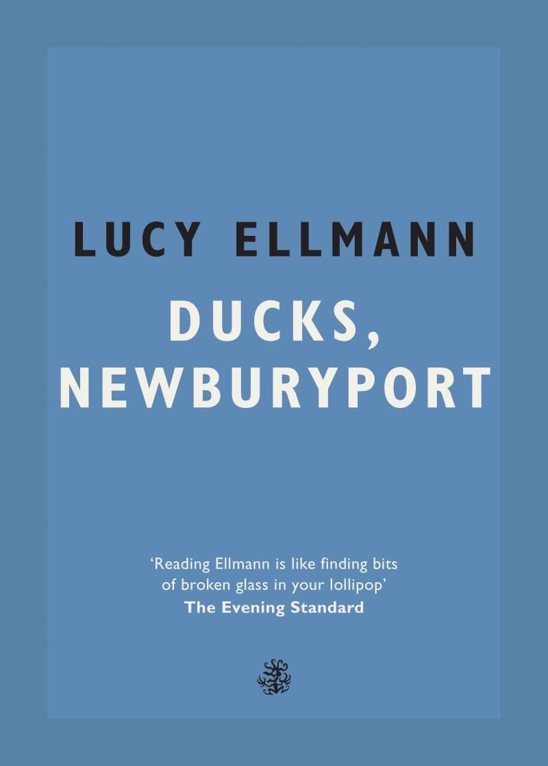 Ducks, Newburyport