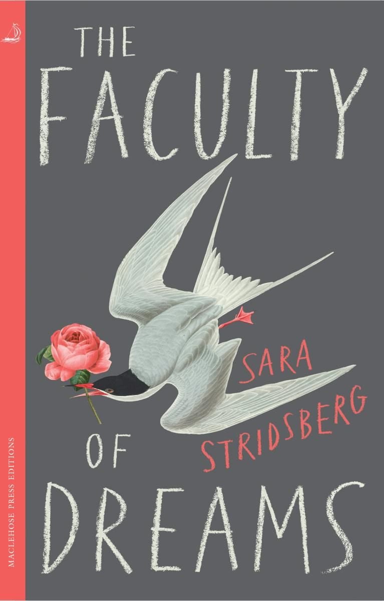 The Faculty of Dreams 